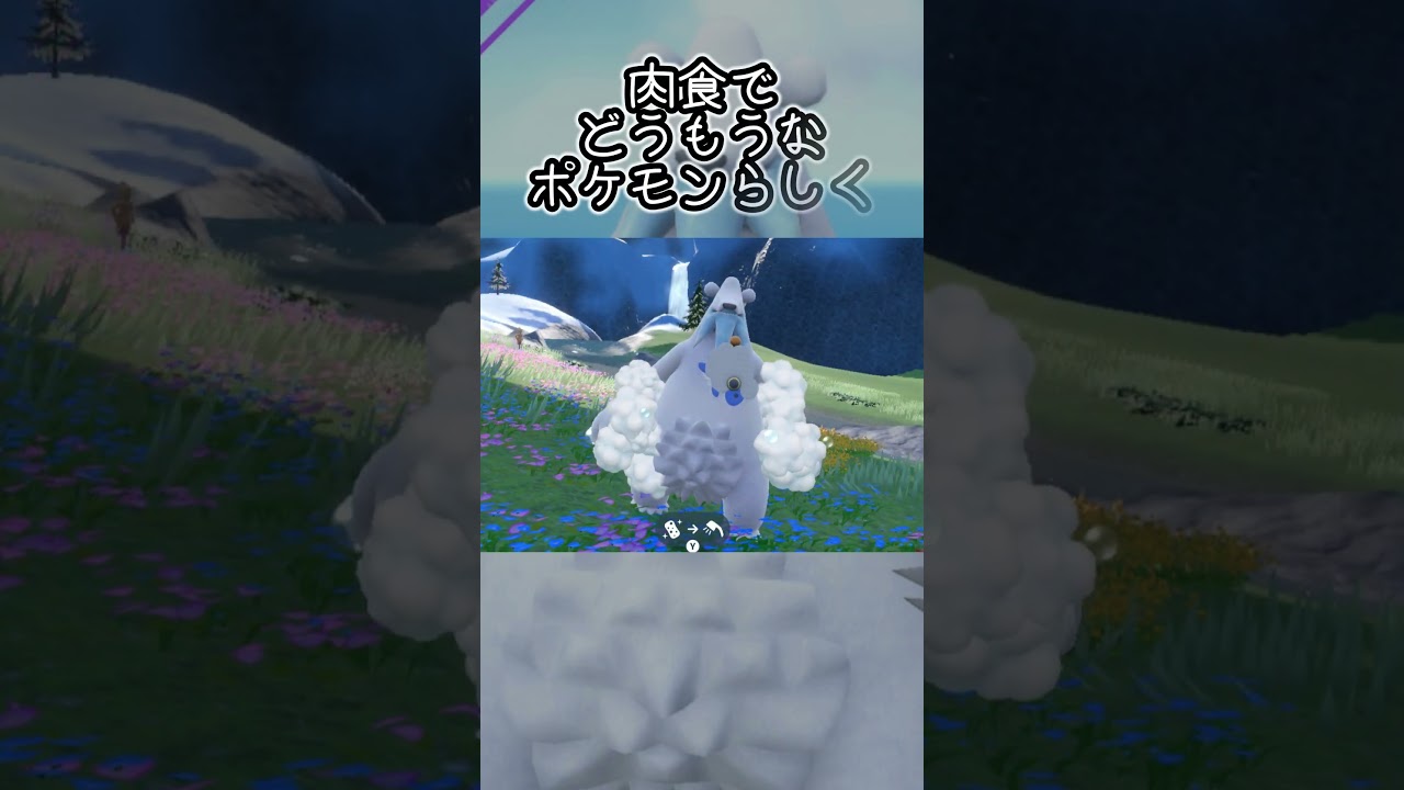 ツンベアー6匹とピクニック【ポケモンSV】#Shorts