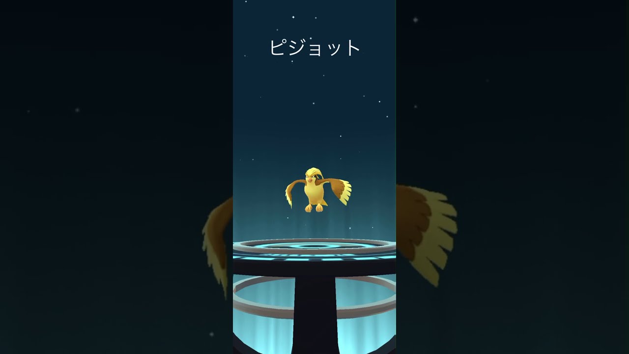 【Pokémon GO】ポッポ → ピジョン → ピジョット 進化🔥 色違いver