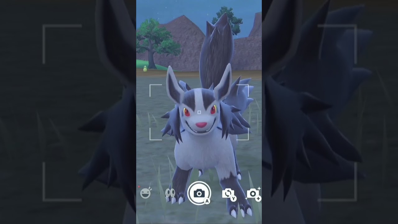 グラエナを愛でるかい #ポケモン #グラエナ