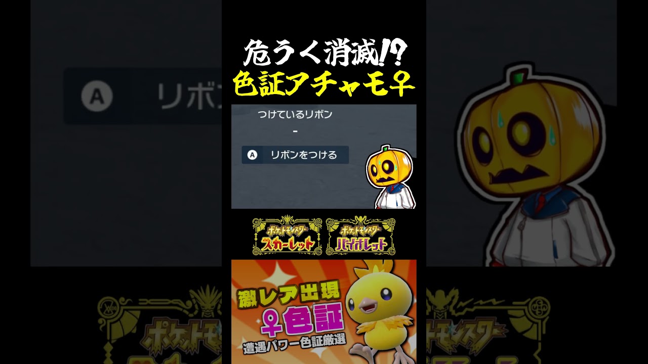 【ポケモンSV】超低確率の色証アチャモ♀が出現!?ルビサファ御三家｢アチャモ｣の色証厳選をしてたら激レア個体を消滅させるところでしたｗ【切り抜き】【色違いポケモン】【色違い厳選】#shorts