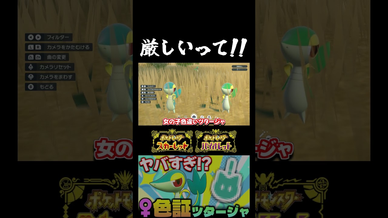 【ポケモンSV】またまた色違いツタージャ♀が出現!! やっぱり超低確率の♀色証厳選は厳しいのか…!?【切り抜き】【色違いポケモン】【色違い厳選】#shorts