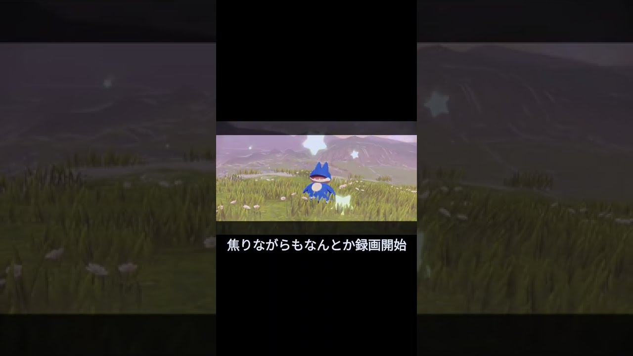 【奇跡】ゴンベ周回しようと原野に来たら一回目で…　PokémonLEGENDSアルセウス