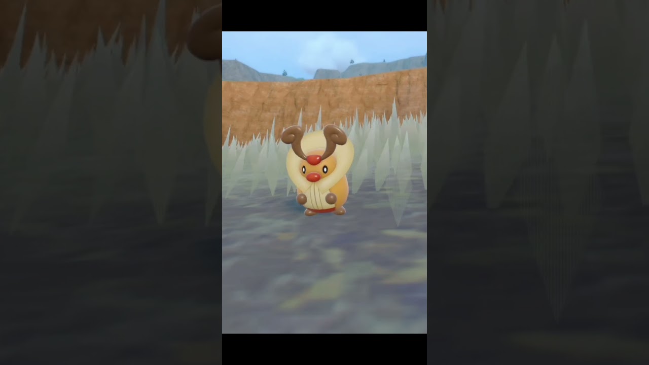 'Fanta' the shiny Kricketot #shinypokemon #pokemon