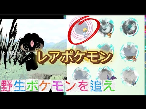 あ、野生のユクシーがとびだしてきた#ポケモンgo #ポケgo #pokemongo