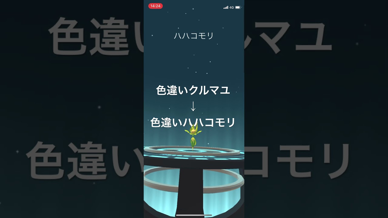 ポケモンGO 色違いクルマユを色違いハハコモリへ進化！ #pokémon #anime #ポケモンgo #ポケgo #ポケモン