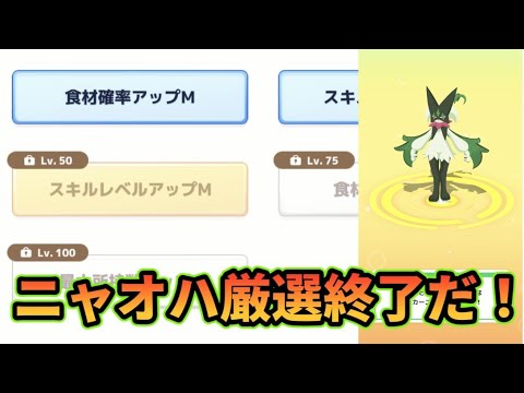 【ポケスリ】食材スキル両刀のニャオハで決めた！【ポケモンスリープ】【POKEMON】