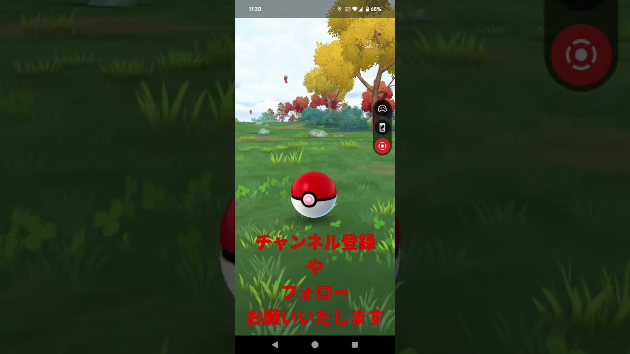 20241120のポケモンgo-3のマダツボミ