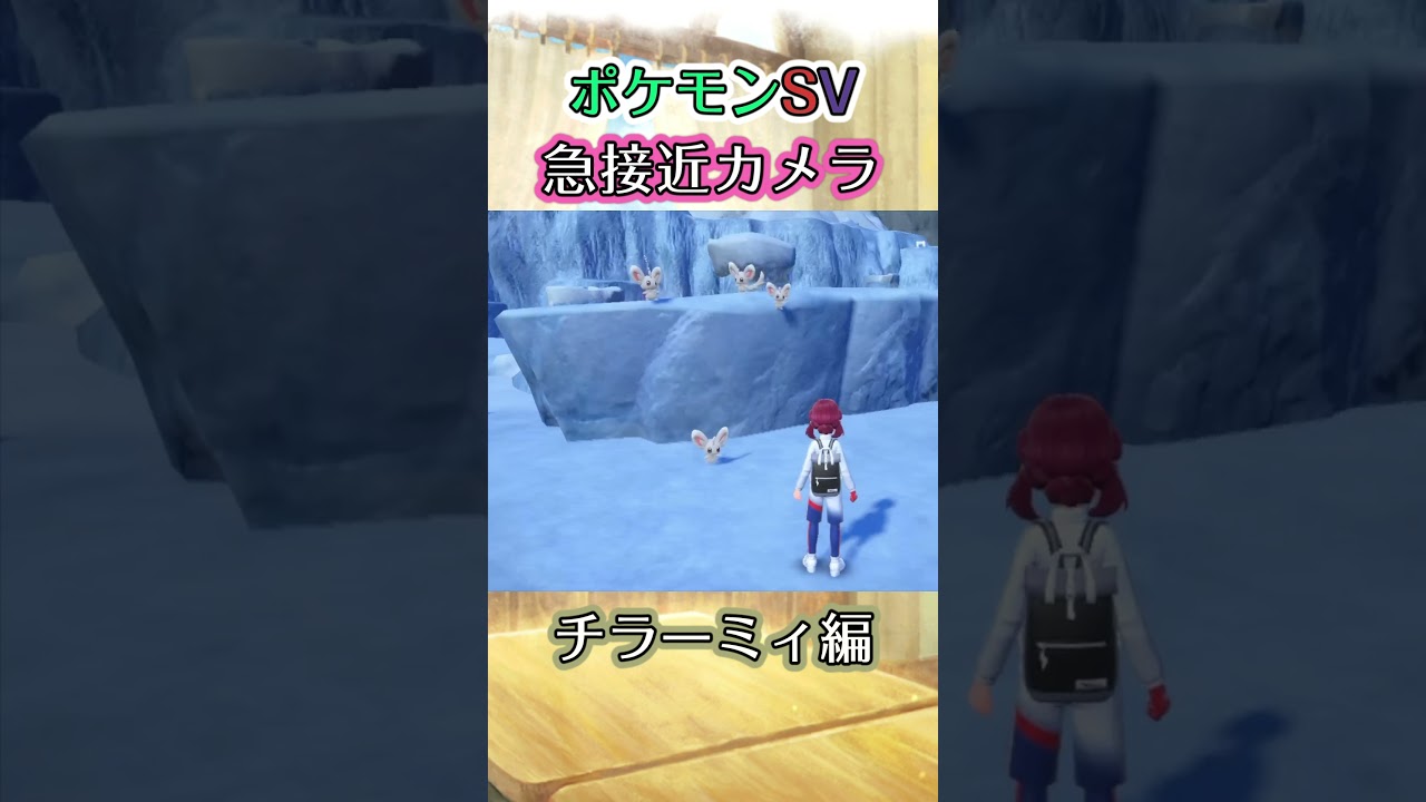 【ポケモンSV】チラーミィたちがﾋｮｺﾋｮｺと近づいてきてくれるだけの動画 #ポケモン #ポケモンsv #チラーミィ #shorts