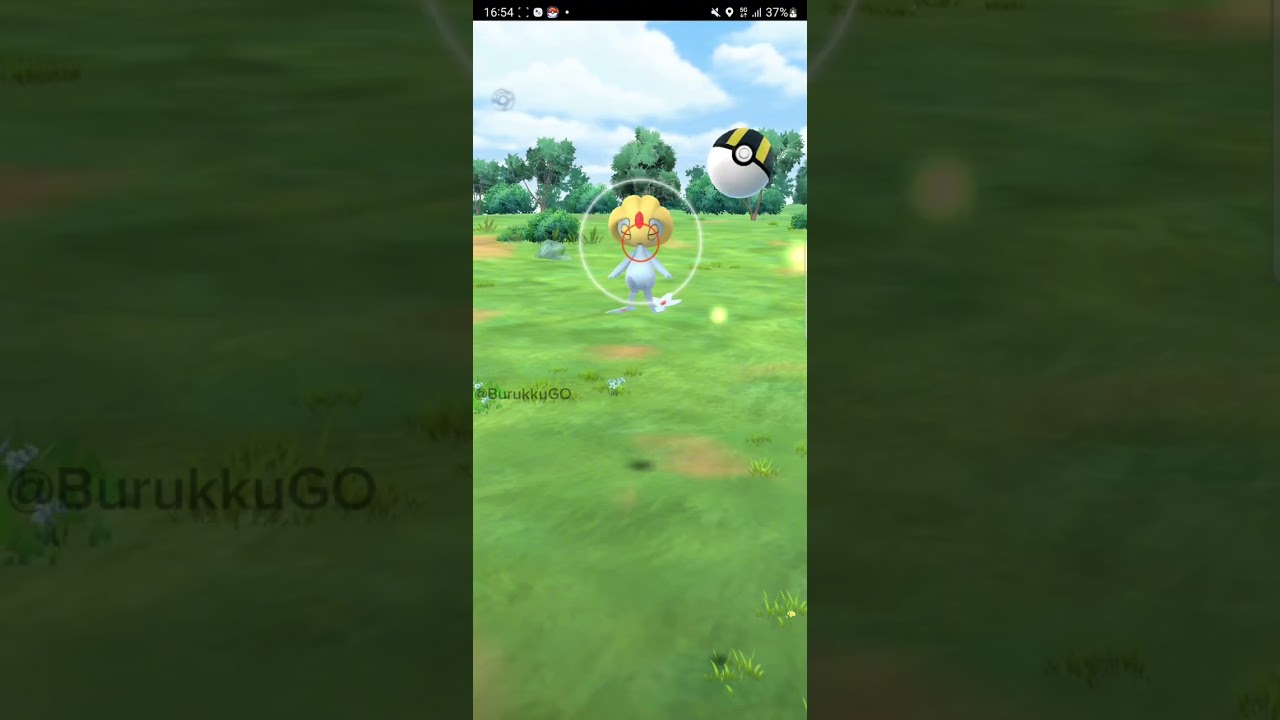 【PokémonGO】激レア!!? 野生のユクシー出現!!【ブルックGO】 #shorts #ポケモンgo #pokemongo #ブルックGO