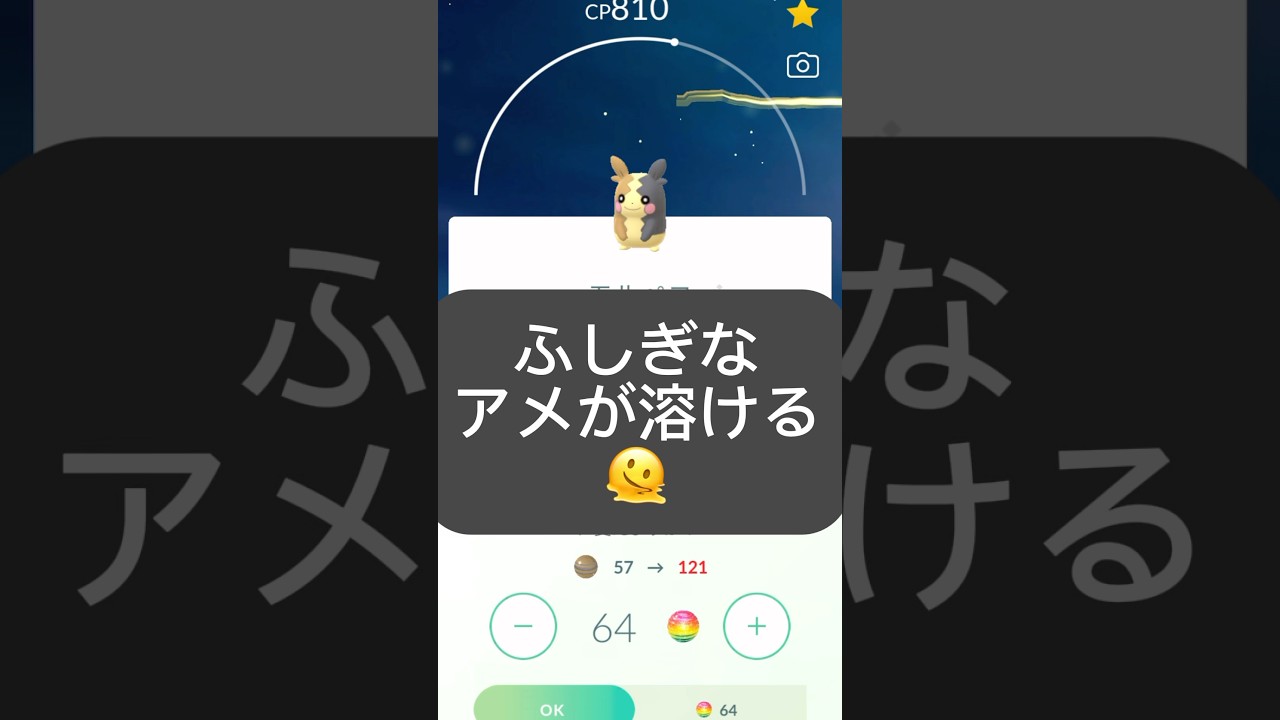 【ポケモンGO】モルペコを育成してみた!!【⚡️Morpeko Pokémon GO⚡️】