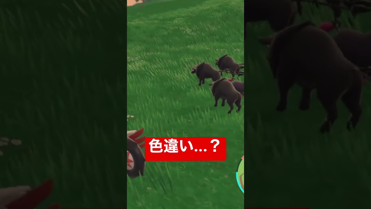 【 #ポケモンSV 】よく見たら違った #shorts #ポケモン #ケンタロス
