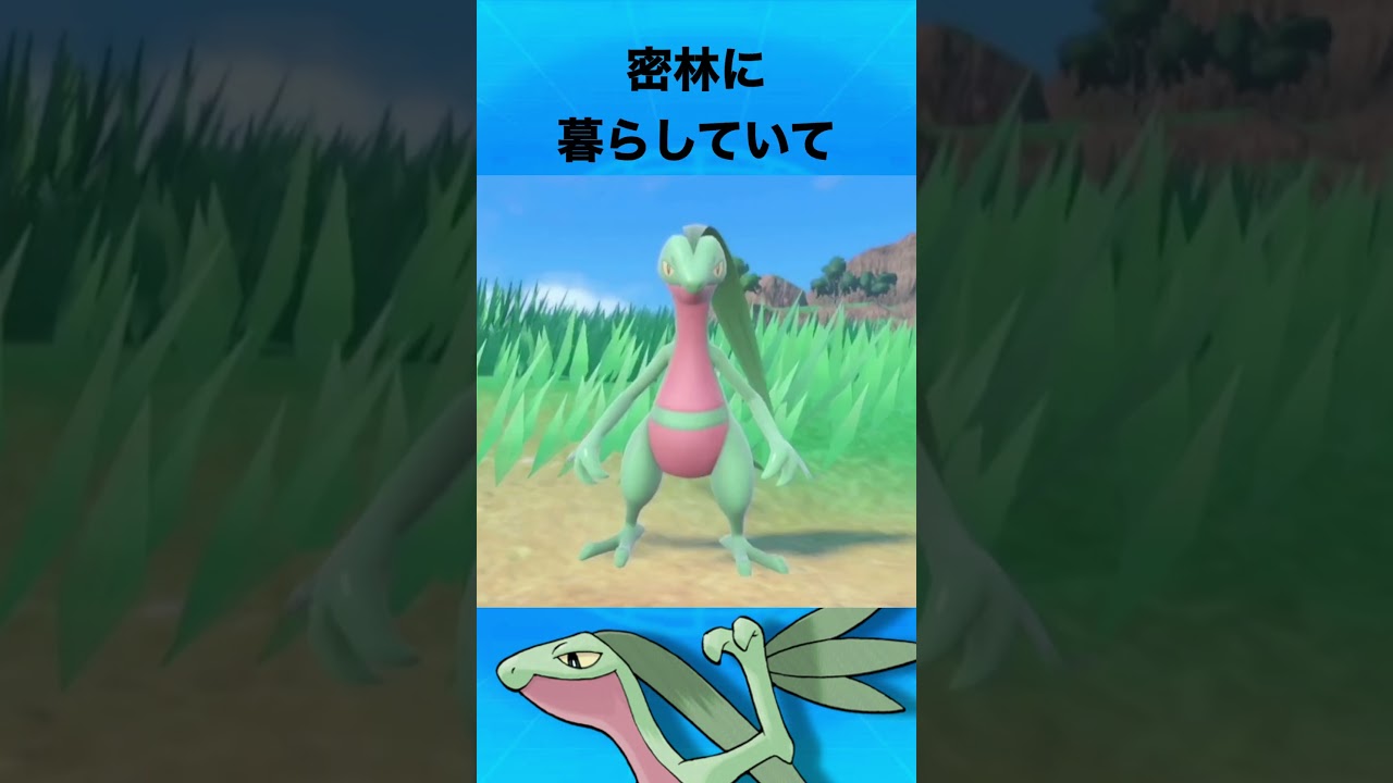 ジュプトルについて #ポケモン #ジュプトル