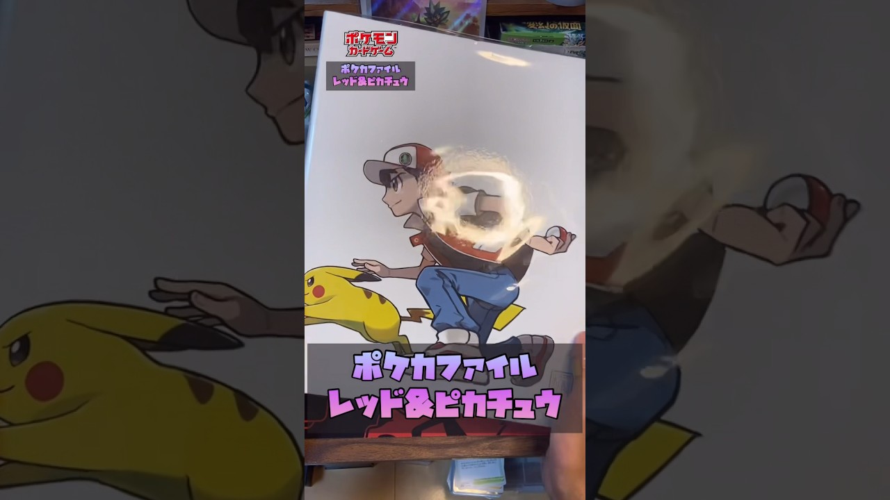 【ポケカ】中古ショップでポケカファイル購入！#ポケカ #ポケカサプライ#ポケカ開封