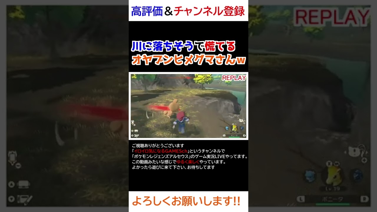 川に落ちそうになるオヤブンヒメグマさんｗww【Pokémon LEGENDS アルセウス】