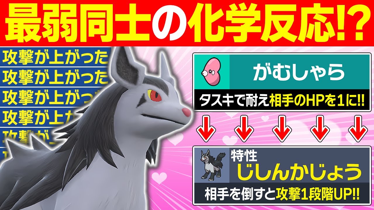 【抽選パ】弱すぎて使い物にならない『ラブカス』が,悪タイプ最弱『グラエナ』を最強にするコンボがヤバい #125-2【ポケモンSV/ポケモンスカーレットバイオレット】