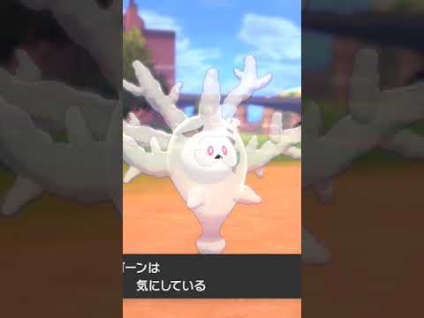 サニゴーン Cursola【ポケモン剣盾】