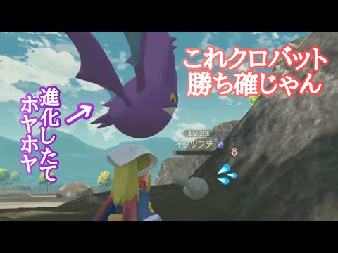 【アルセウス】ヨツボシに近づくのとブイゼルの奇跡を願ってる…【ポケモン】
