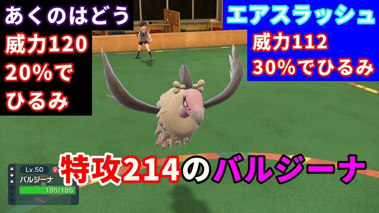 特殊アタッカーの「バルジーナ」を活躍させたい！【ポケモンSV】
