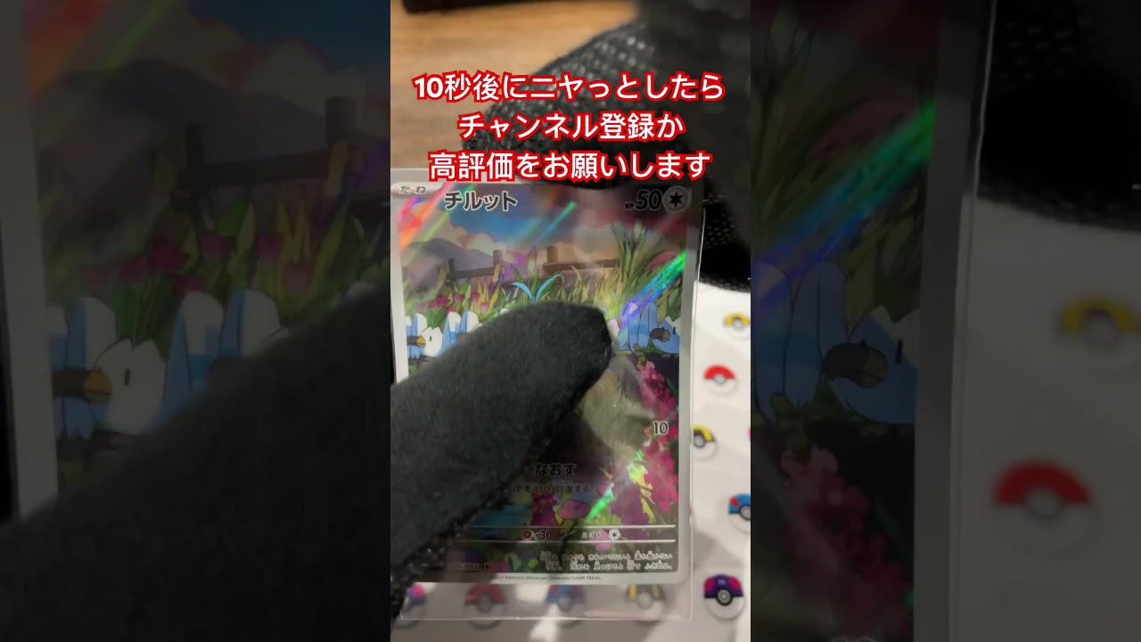 チルットの目が進化！コメント欄に感想お願いします♪ ＃shorts＃ポケモン＃ポケモンカード＃pokemon＃pokemonCard#精靈寶可夢#포켓몬#Pokémon #pokemon