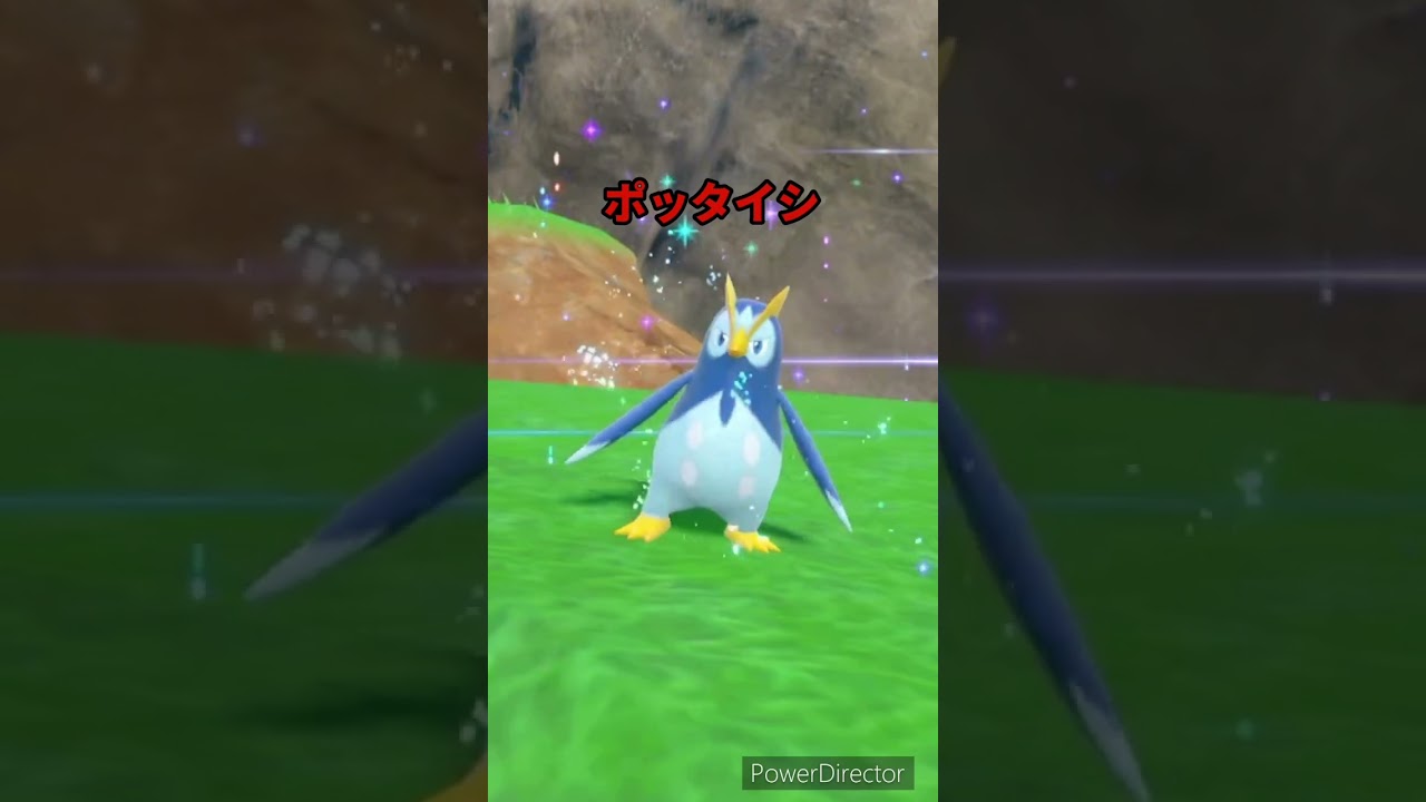 【ポケモンバイオレット】進化　ポッチャマ→ポッタイシ　#ポケモンバイオレット #ゲームリハビリ #short