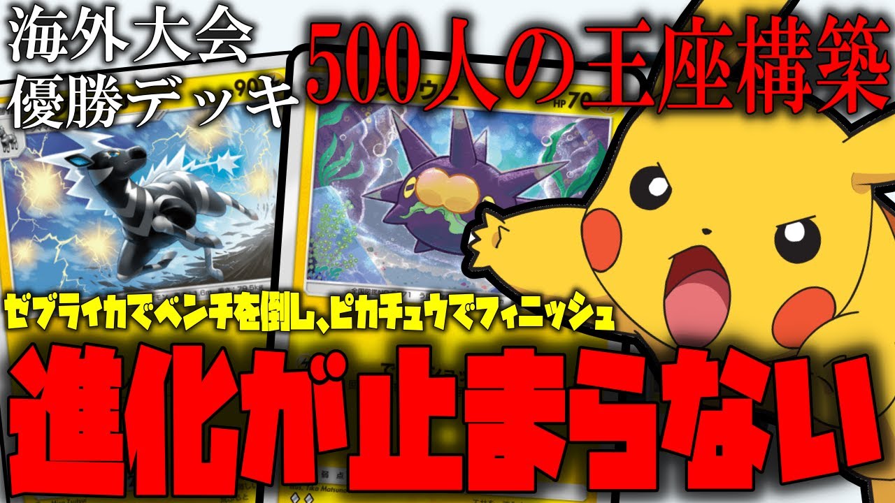 【ポケポケ】賞金300＄勝ち取った大会優勝デッキを紹介!!ゼブライカ、バチンウニ多くのたねポケを活かして相手を倒しまくれ!【ポケモントレーディングカードゲームポケット】
