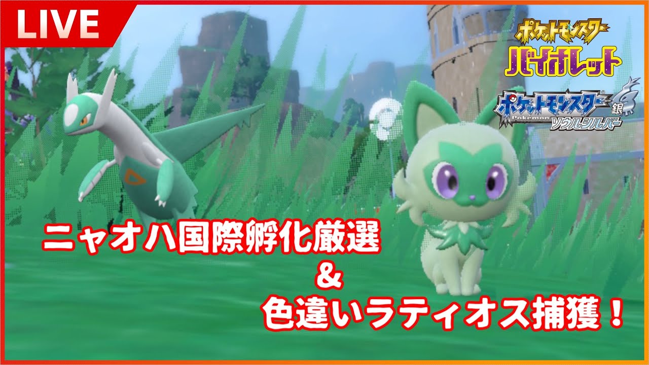 【ポケモンSV】【ポケモンHGSS】ニャオハの国際孵化しつつ色ラティオスの捕獲に挑む奴【雑談】