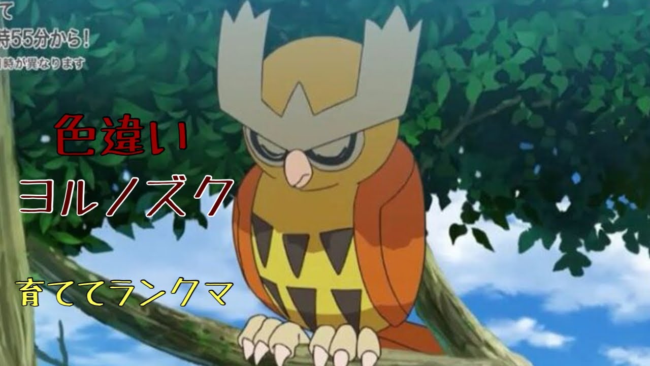 【ポケモンSV】色違いヨルノズク育成して即ランクマ【ランクマッチ:アニポケサトシ手持ち統一】