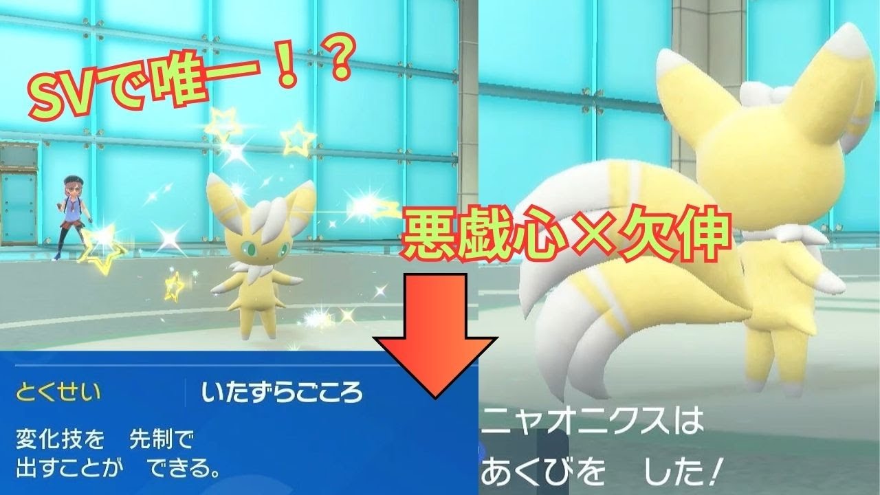 意外といなかった！「悪戯心×欠伸」が出来るニャオニクス♂【レギュH】