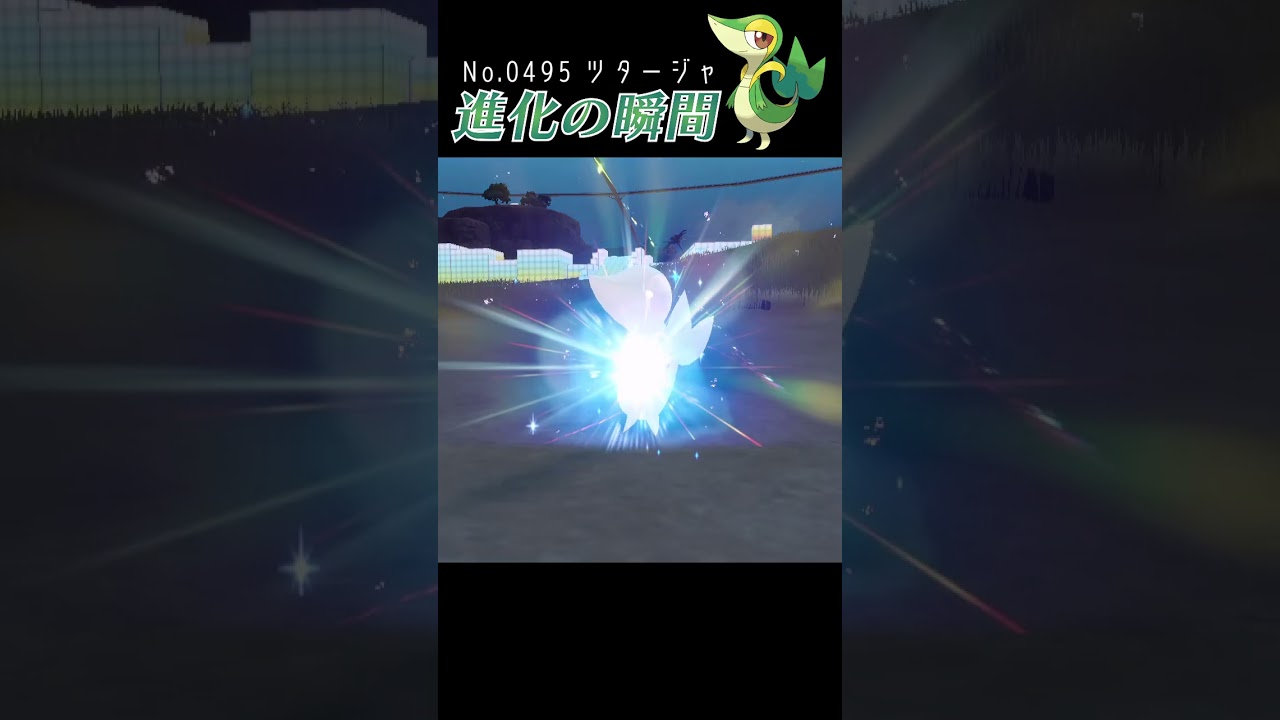 【藍の円盤】ツタージャ 進化の瞬間 #shorts