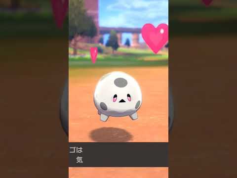 ガラルサニーゴ GalarCorsola【ポケモン剣盾】