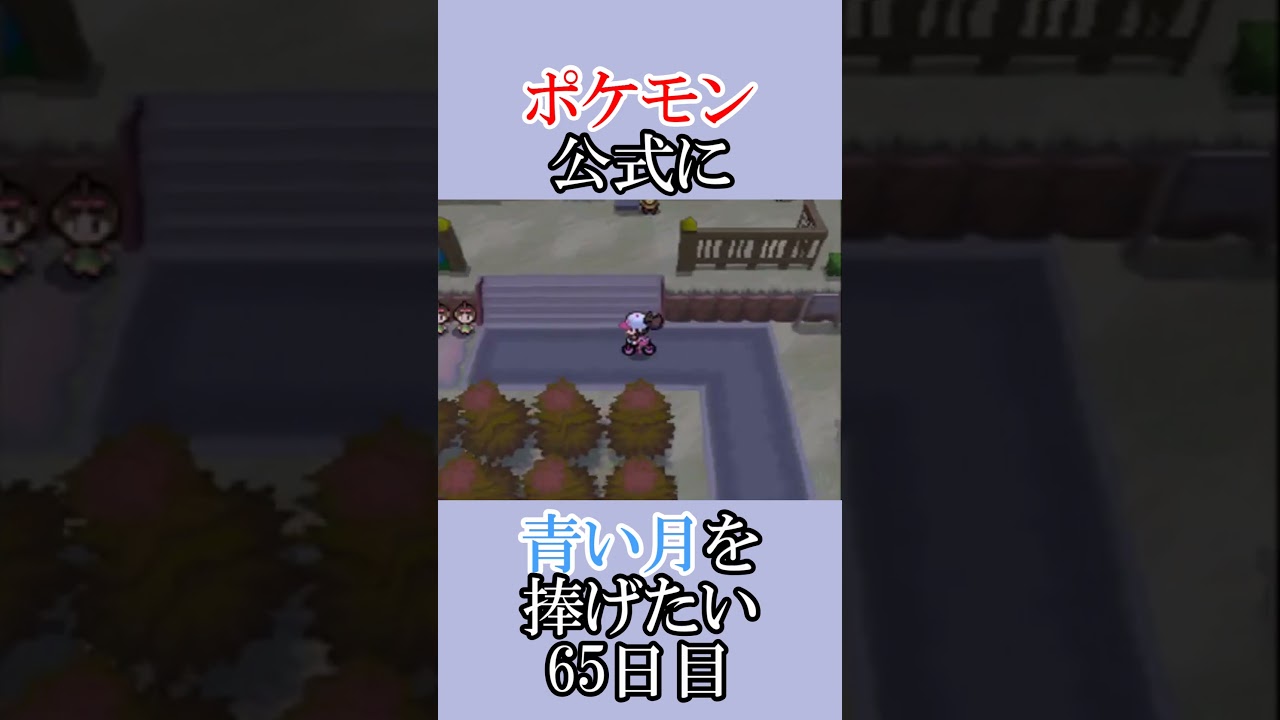 ポケモン公式の恋をかなえさせてください「青いルナトーンを捜せ」＃65日目 #shorts