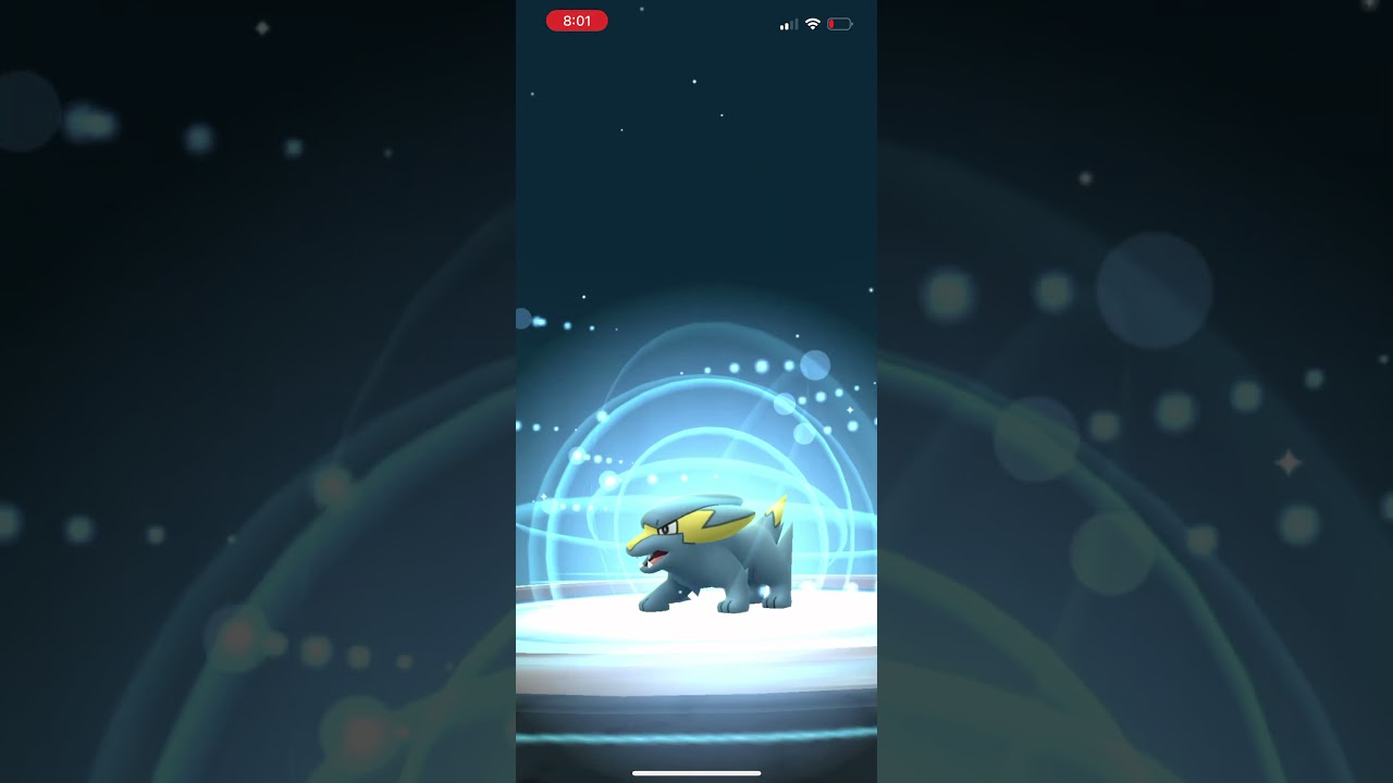 Shiny Electrike evolve into Manectric #pokemon #pokemongo #shinypokemon #evolution #shorts #evolve