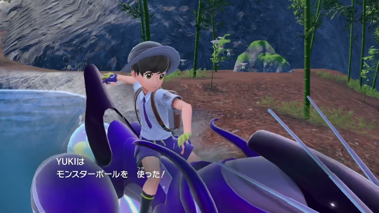 パルデアケンタロスを育てる【ポケモンSV】