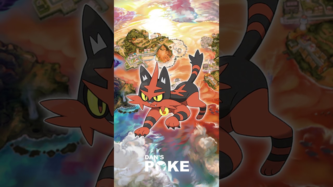 Pokemon: Torracat