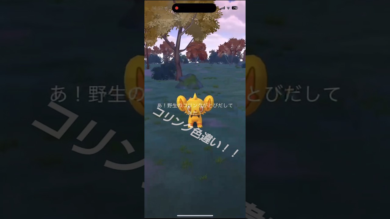 ポケモンGO　コリンク色違いでたあー！#ポケモンGO
