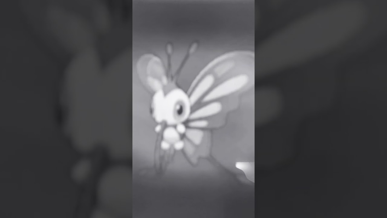 ORAS【ホウエン図鑑NO016】アゲハント（Beautifly）鳴き声（barking）#ポケモン鳴き声 #図鑑コンプ #オメガルビー #アルファサファイア#第三世代鳴き声#beautifly