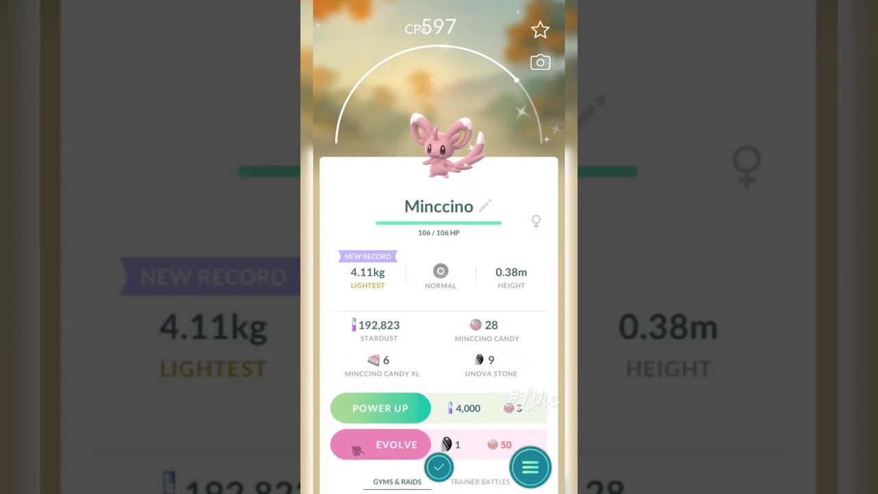 Getting Lucky With Shiny minccino in the Wild! #shinypokemon