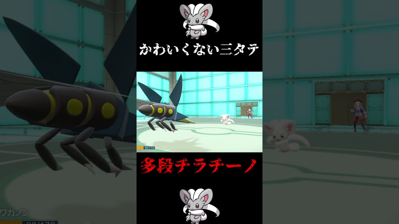 【トラウマ注意！！】「多段チラチーノ」とかいうバカがいました！！ #ポケモン #ランクマッチバトル #ポケモンsv#ゲーム実況