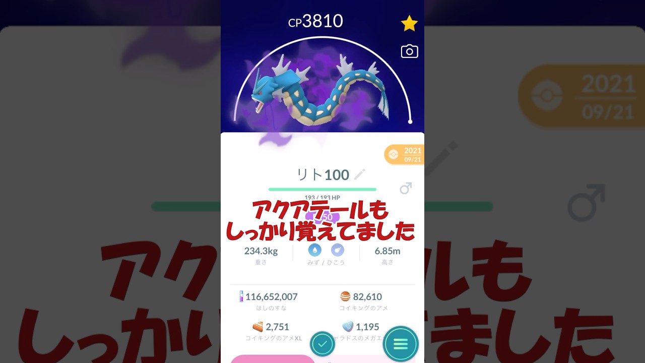 🌊PL50シャドウギャラドス🐲P完成 #ポケモンgo #pokemonngo