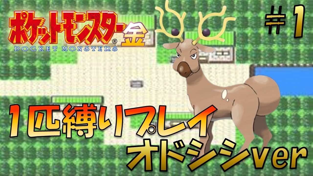 【ポケモン金銀】ポケモン1匹縛りプレイ!!オドシシきみに決めた！part1【ゲーム実況】【縛りプレイ】
