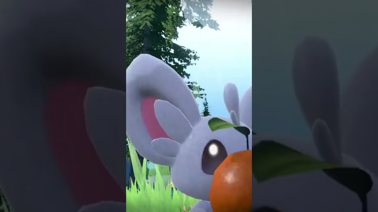 一瞬恐ろしい姿になる チラーミィ #shorts #ポケモンsv #碧の仮面 #碧の円盤