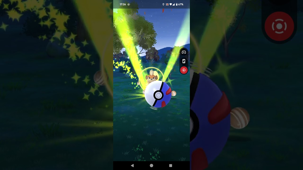 20241125のポケモンgo-2の原種ガーディ