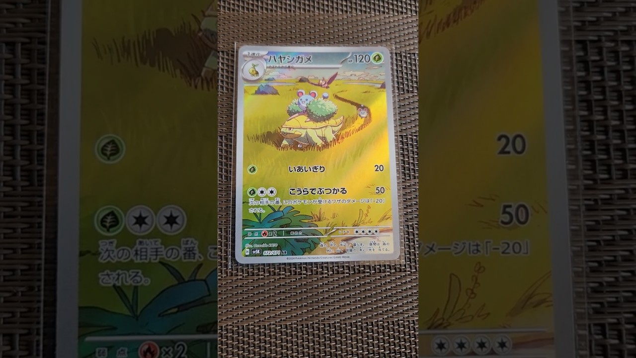 ハヤシガメAR #pokemon