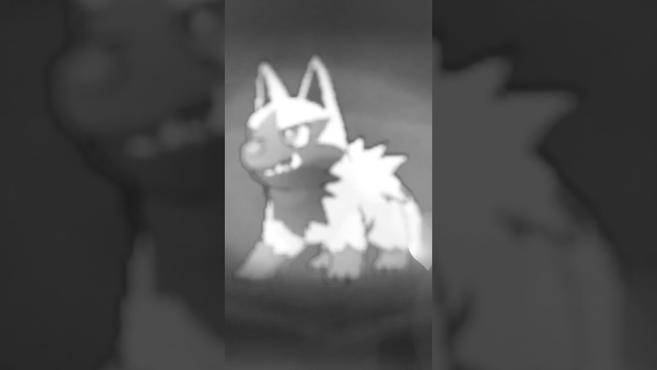 ORAS【ホウエン図鑑NO010】ポチエナ（Poochyna）鳴き声（barking）#ポケモン鳴き声 #図鑑コンプ #オメガルビー #アルファサファイア#第三世代鳴き声#poochyena