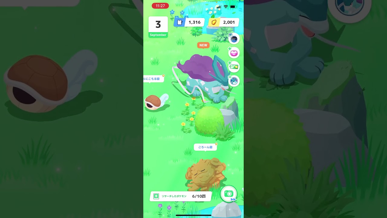 スイクンリサーチ!!!【ポケモンスリープ/Pokemonsleep】#Shorts #ポケットモンスター #ポケモンスリープ #寝起き