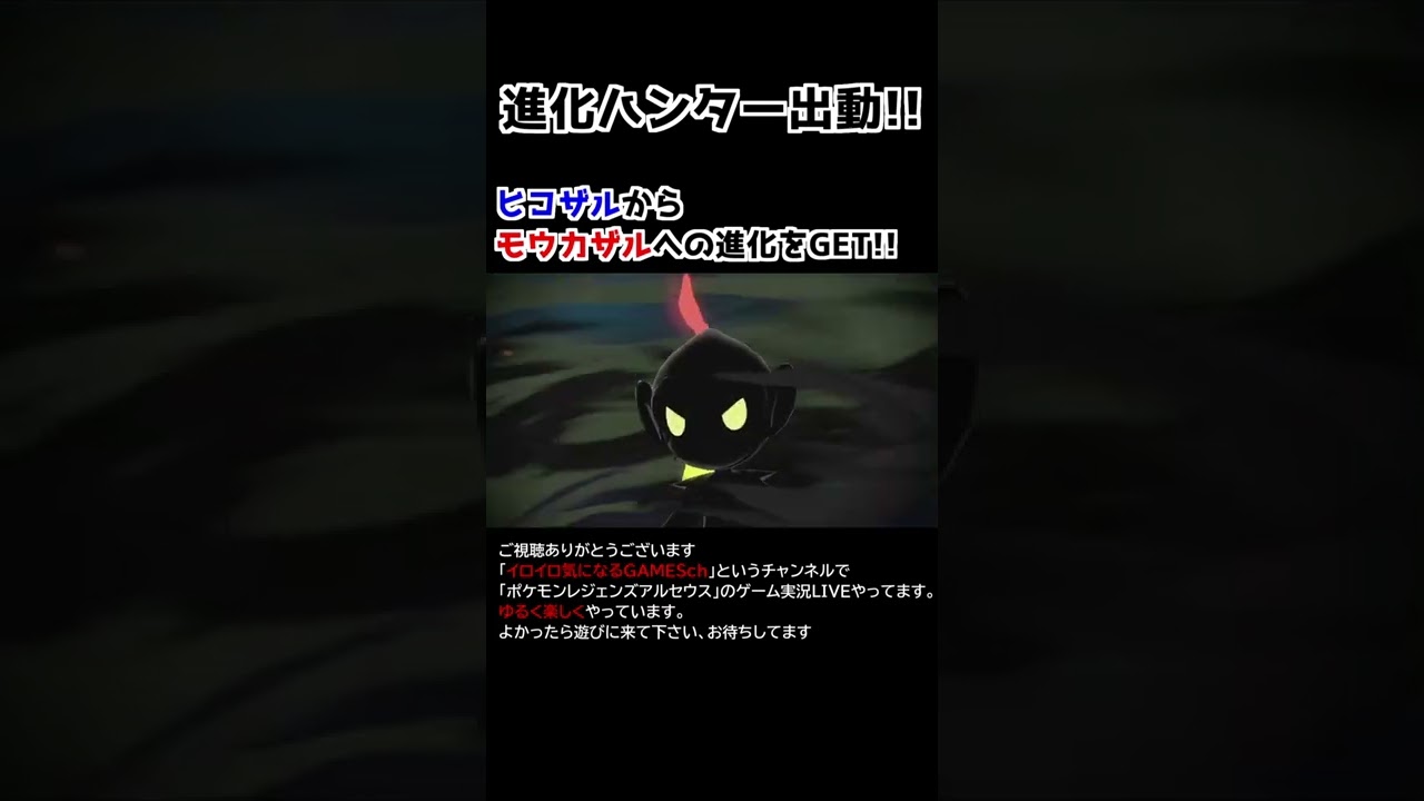 ヒコザル→モウカザル進化【Pokémon LEGENDS アルセウス】【進化ハンター】