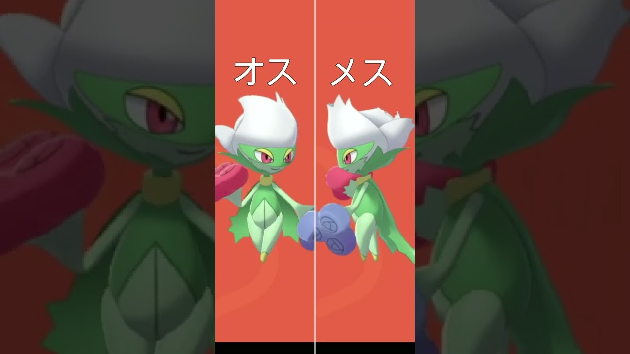 #shorts オスとメスで姿が少し違うポケモンがいるって知ってた？ーロズレイド編ー