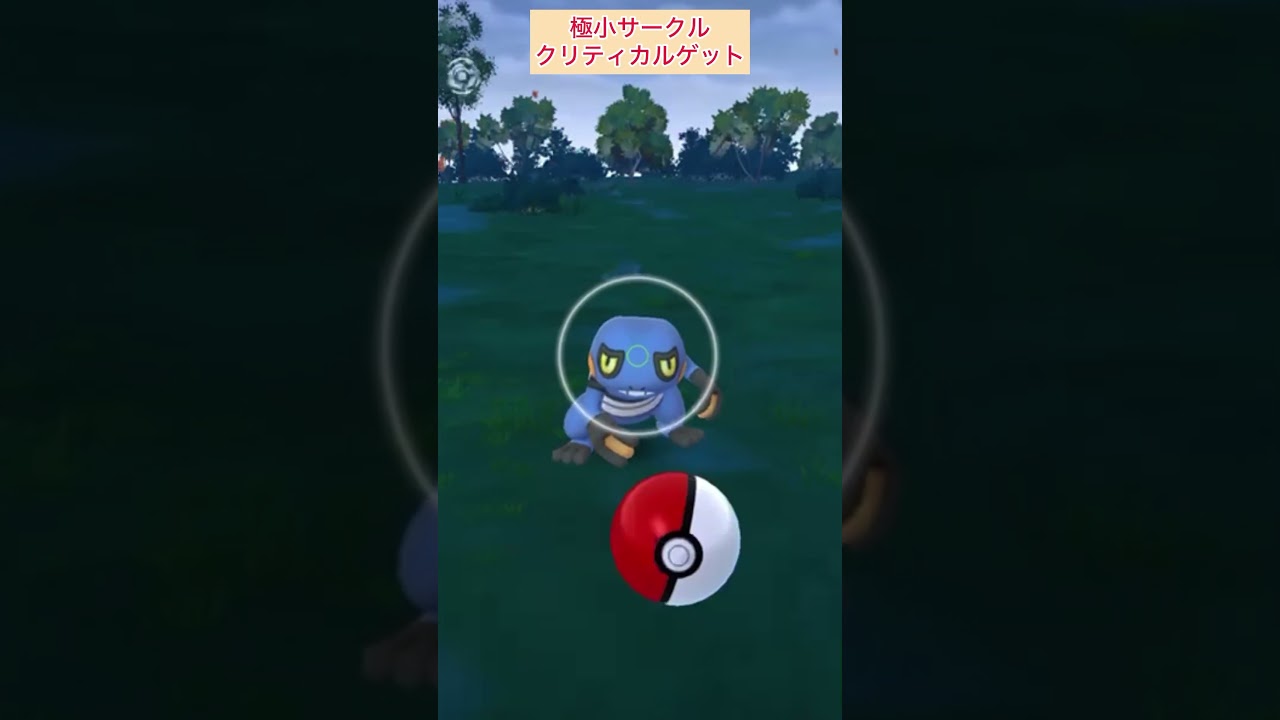 【難易度低】グレッグル極小サークルクリティカルゲット！【ポケモンGO】