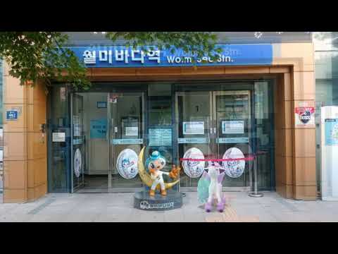 [GO Snapshot Slideshow] 가라르 포니타 ( Galarian Ponyta ) ガラルポニータ ( 小火馬 )