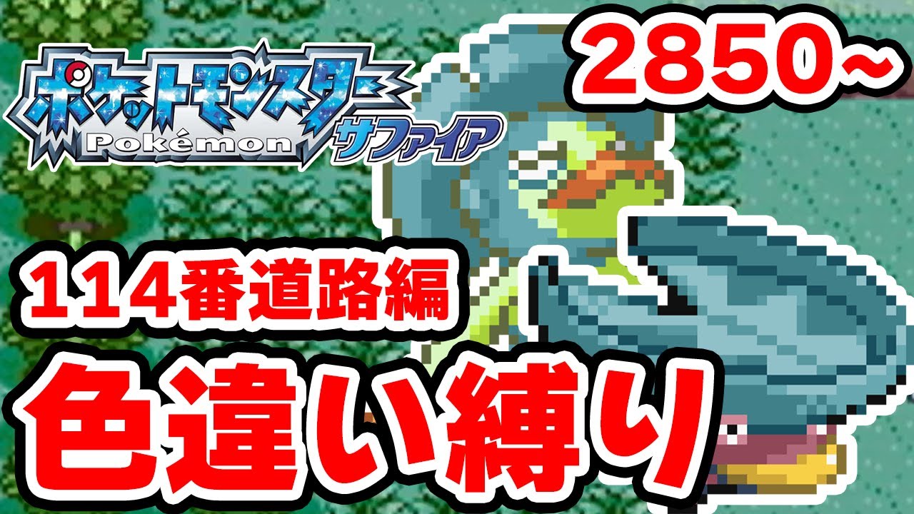【色違い縛り】色違いを再び114番道路で粘る男 2850~【ポケモンRS】